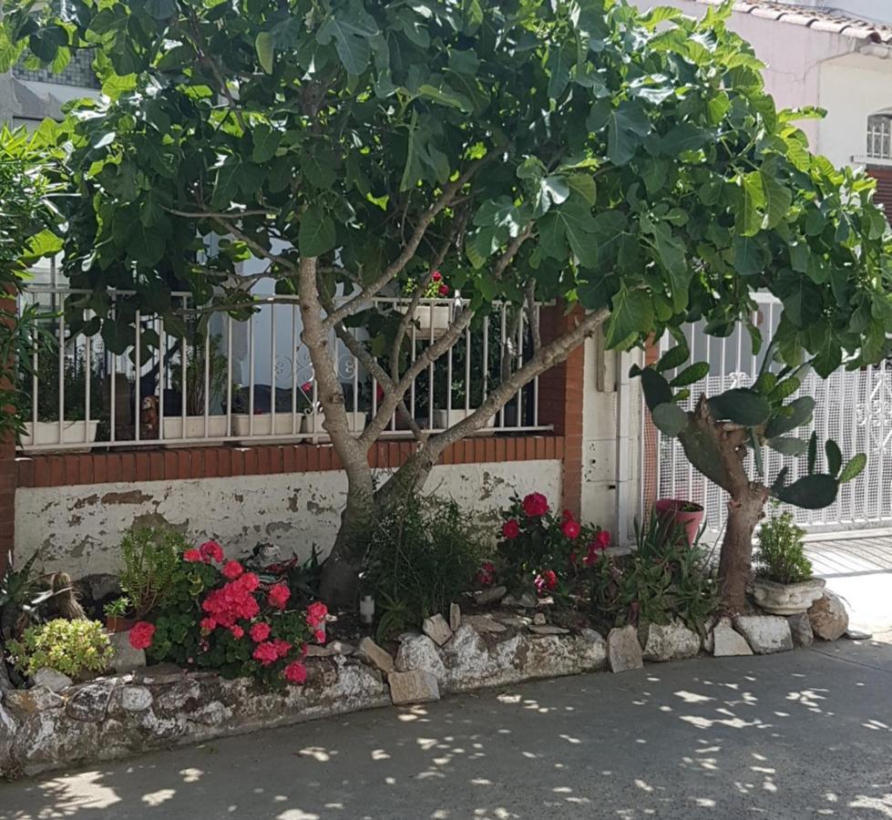 Maison De Vacances A Empuriabrava "Oasis" 빌라 외부 사진